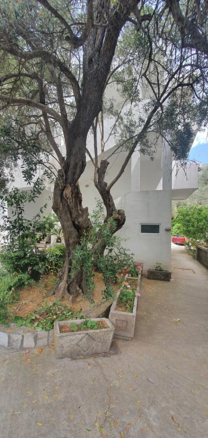 Guest House Mia Bečići エクステリア 写真